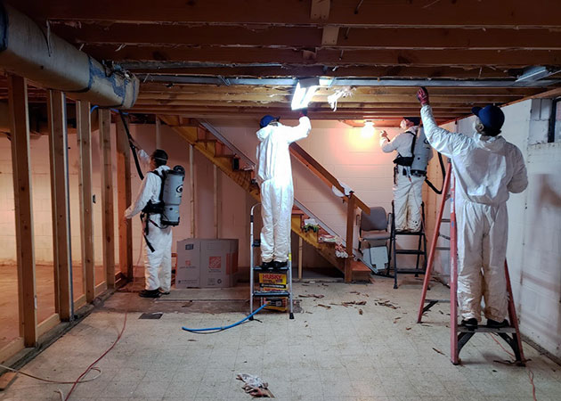 People vacuuming a basement in the process of mold remediation
